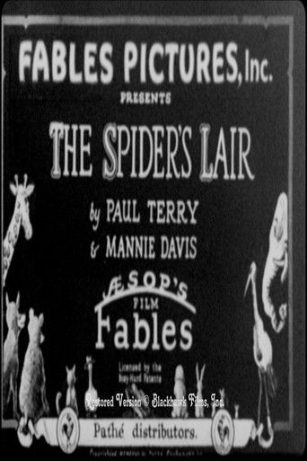 Spider's Lair