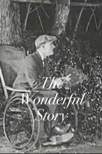 The Wonderful Story