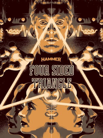Four Sided Triangle