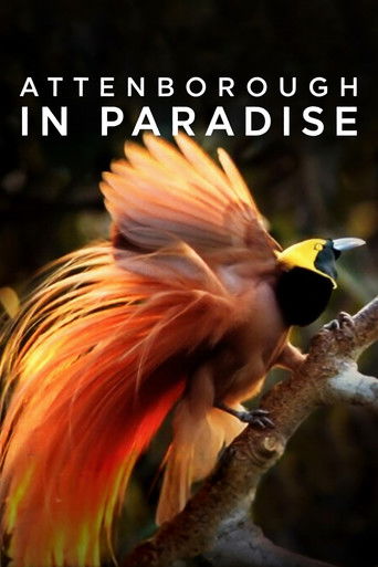 Attenborough in Paradise